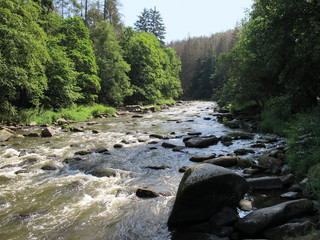 River Sazava. Stvoridla Nature Reserve. Czech Republic