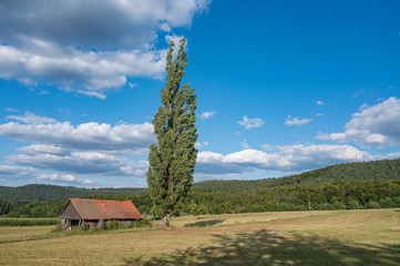 Typische Landschaft im Odenwald