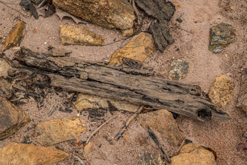 Rocks and a piece of driftwood
