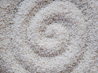 organic grain rice background