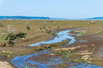 Nisqually Wetlands Mud  Flats 2