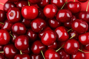 Background of sweet and ripe cherries
