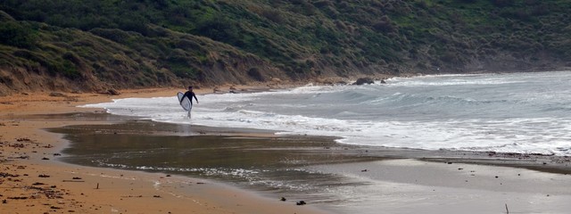 Surfers coming out from the water.