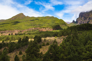 Fototapeta na wymiar Cumbrecita View in La Palma, Spain