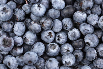 Fresh blueberry background. Texture blueberry berries close up