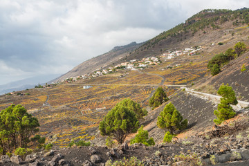 Southwest La Palma Water Canal, Spain