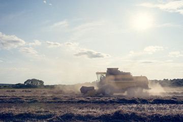 Fototapeta na wymiar Toned image of wheat field working combine harvester .
