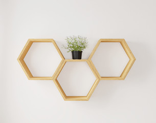 Hexagon shelf and flower for copy space or mock up,c