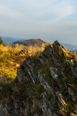 Smerek Bieszczady
