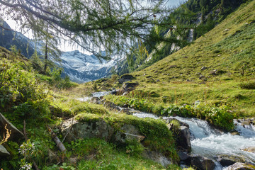 Fototapeta na wymiar Wildbach in den Alpen mit Gletscher im Hintergrund