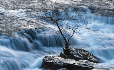 Waterfall In Rushing River and Lone Tree