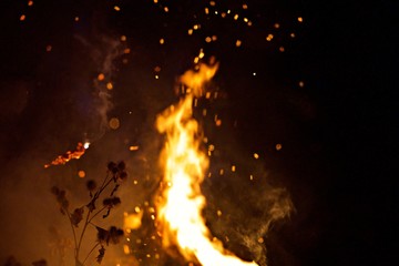 Feu incendie nature flammes - brulant brasier