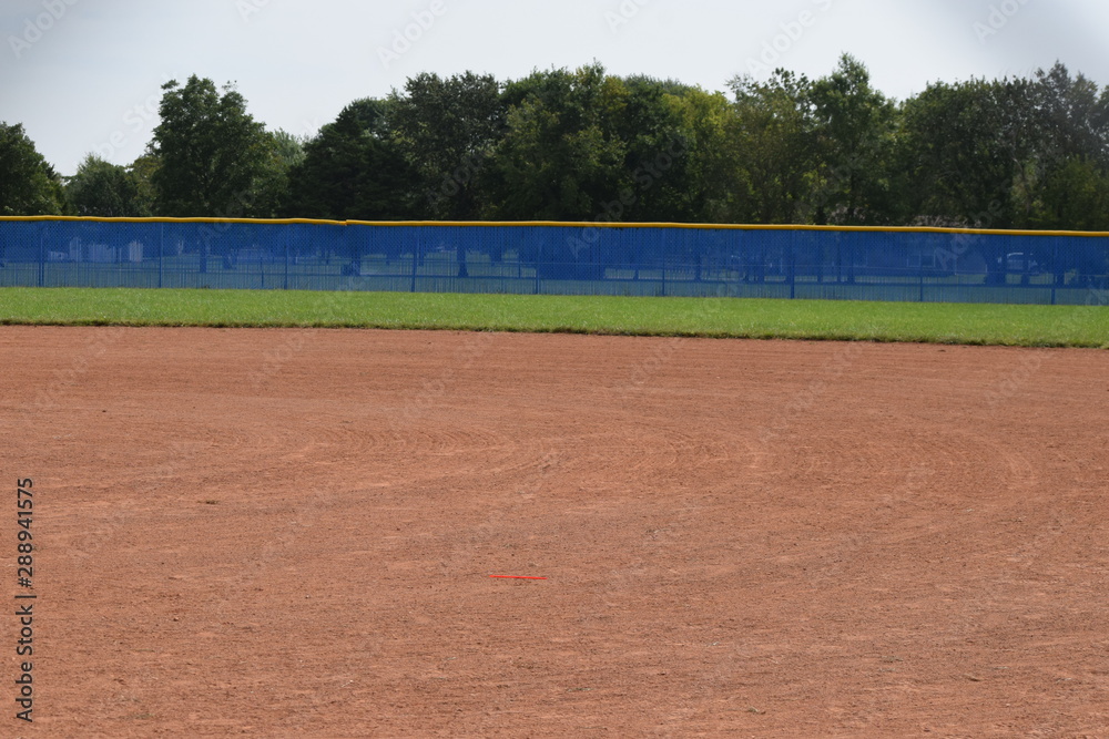 Wall mural softball field