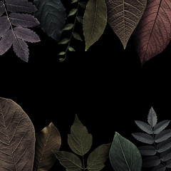 Frame is created from beautiful, colored, textured leaves on black. Illustration