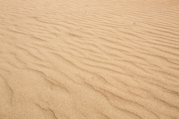 Fototapeta na wymiar Rippled Patterns in the Sand on a Beach