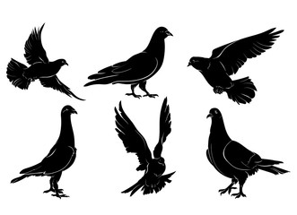 6 Vector Pigeon Silhouettes Set