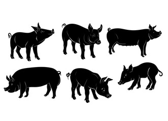 6 Vector Pig Silhouettes Set