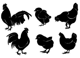 6 Vector Chicken Silhouettes Set