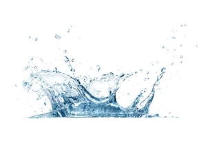 Water splash isolated on white background © Casther