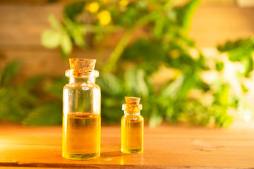 Cannabidiol oil bottles with leaves in the background on a wooden table