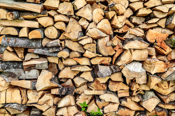 logging and storage of firewood