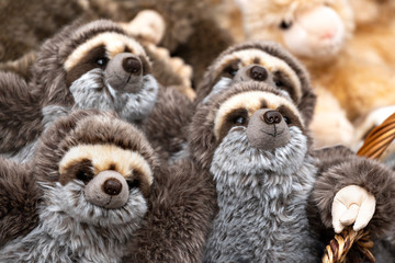plush sloths on the counter of the gift shop. children's soft toys