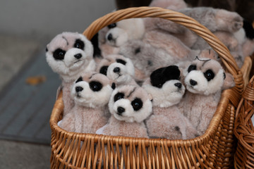 plush meerkats in a wicker basket. soft toys-meerkats in the gift shop