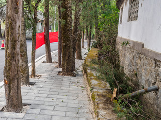 Street view in the City of Dali in Yunnan Province (China). With trees in the middle of the...