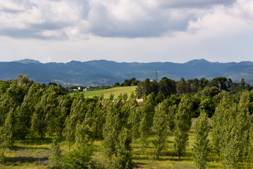 Fototapeta na wymiar beautiful panorama of Mugello in Tuscany