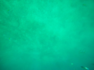 Fototapeta na wymiar snorkeling, Los Arcos National Marine Park in Mexico near Puerto Vallarta