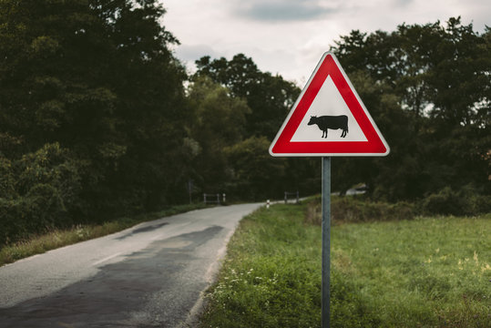 Image - Cow traffic european sign (red triangle) with curved road, green meadow and field on background on sunset. Beware of the cow. A warning sign with cattle on european road symbol.