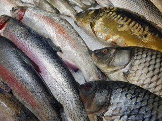 A lot of fresh raw fish on store shelve with ice