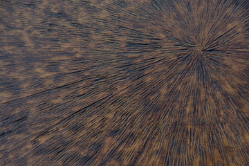 blurred abstract dark background with wooden texture