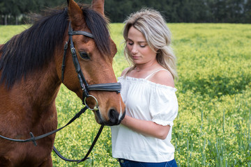 Closeup of a woman interacting with her chestnut Arab horse outdoors with field of yellow flowers.