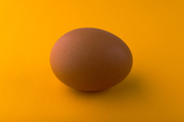 Brown chicken egg on an orange background