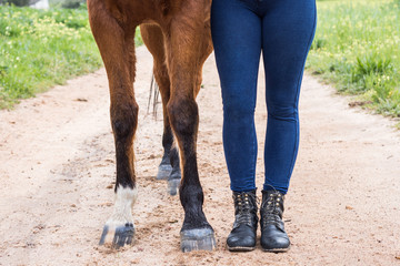 Woman and her chestnut Arab horse's legs and feet closeup, standing in a dirt road.