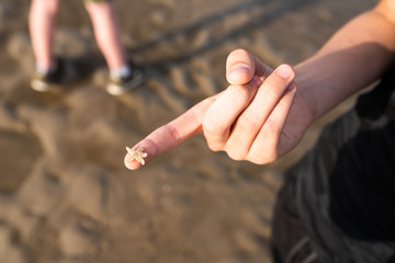 tiny starfish on a finger of a young persons hand