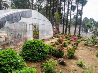 Garden with green house at a Buddhist womens cloister in the City of Dali (China).