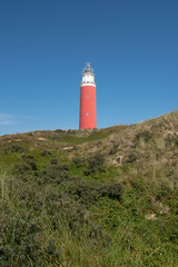 texel lighthouse in the dunes on a sunny summer day with clear blue sky