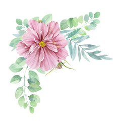 Painted watercolor composition of flowers in gentle tones. Pink flower kosmeya with leaves and branches. Element for design. Greeting card. Easter, Wedding, Birthday.