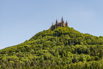 Hilltop Castle 