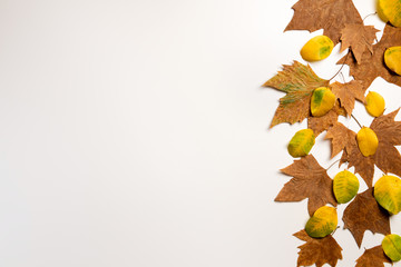 autumn maple leaves frame background with copy space for text