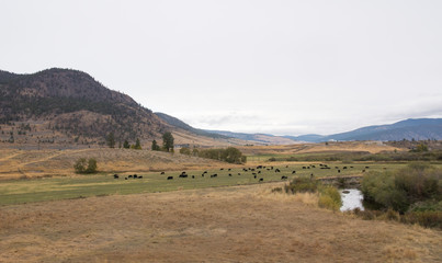 panoramic valley and mountain near kamloops in Canada, road trip in fall
