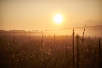 sunrise in a field with fog in summer