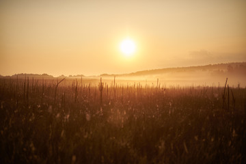 sunrise in a field with fog in summer