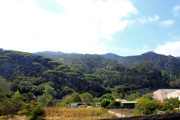 Fototapeta premium Sintra - Portugal
