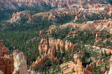 Bryce Canyon with rock formation mixed with trees
