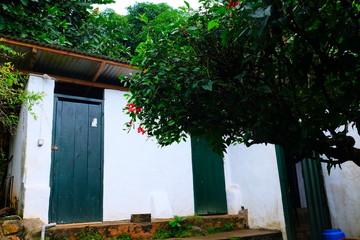 Fototapeta na wymiar House in the middle of the jungle