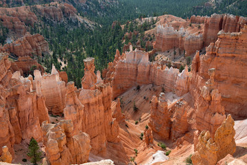 Hoodoos in Bryce Canyon with trees behind