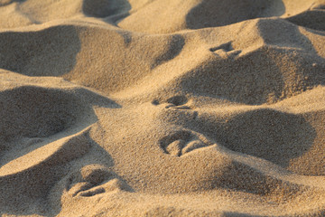 Sylt - the beautiful island is located in the north of Germany